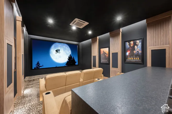 Cinema room