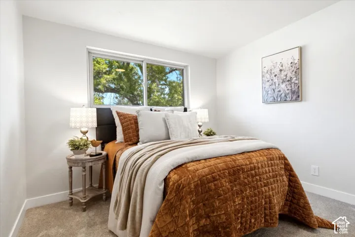 Neutral wall finishes, carpet flooring, and a large window