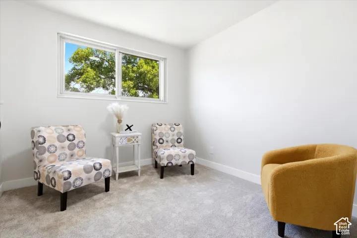 Light gray wall paint, white trim, and light gray carpeted flooring create a neutral interior