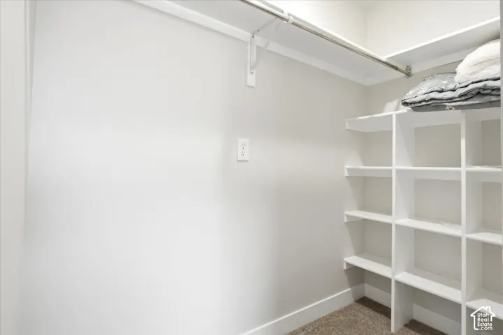 Built-in shelving, white walls, carpet flooring, and a metal hanging rod