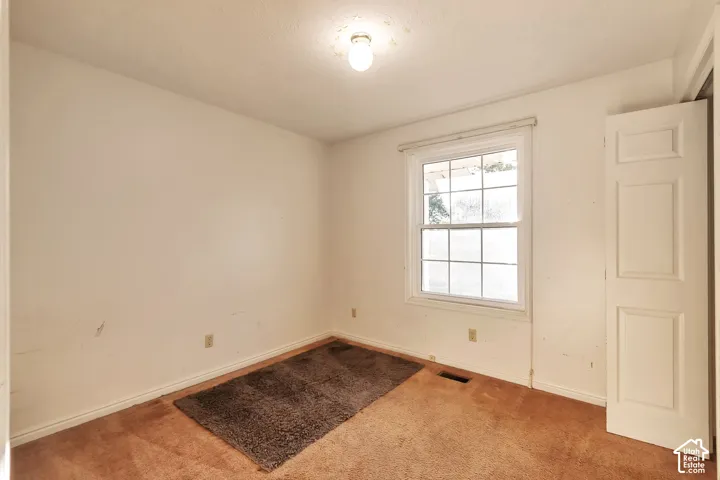 Single-hung window with a grid pattern, carpeted flooring, and a flush-mount ceiling light fixture