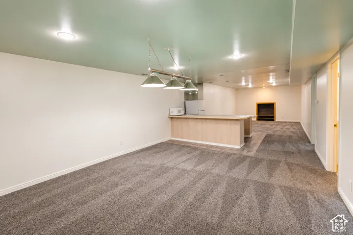 Basement - No Decor - New Carpet