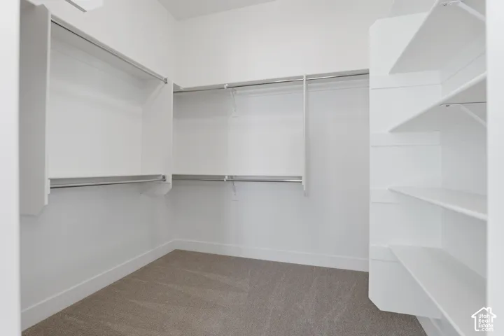 Built-in shelving, hanging rods, and carpet flooring within a white-painted interior
