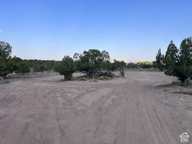 Expansive desert land featuring mature trees and a distant body of water