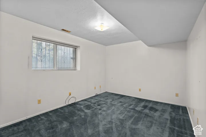 Recessed window with horizontal blinds, overhead ceiling light fixture, wall-to-wall carpeting, and white painted walls