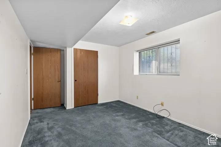 Recessed window featuring blinds, two wood-paneled doors, and blue carpeting