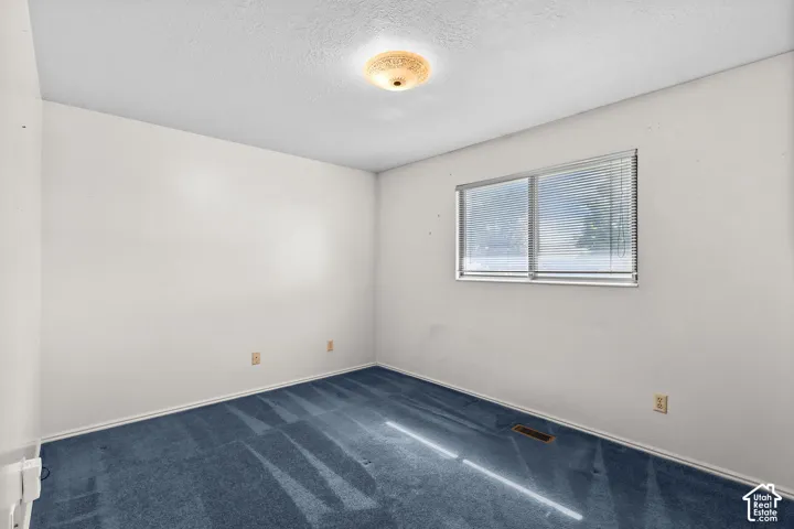 Light-filled room featuring a window with horizontal blinds, carpet flooring, a ceiling-mounted flush light fixture, and neutral wall tones