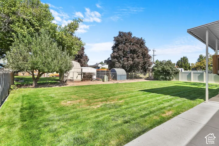 Expansive backyard featuring a manicured lawn, concrete patio, mature trees, and a metal storage shed