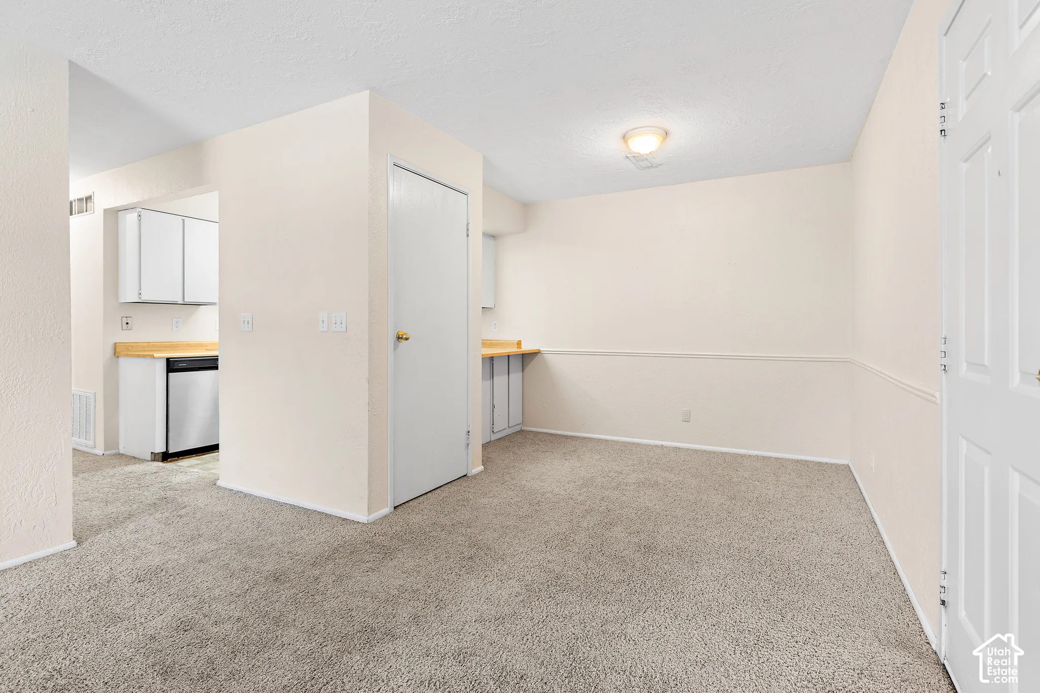 Carpet flooring, neutral wall colors, built-in cabinetry, and wood-finish countertops