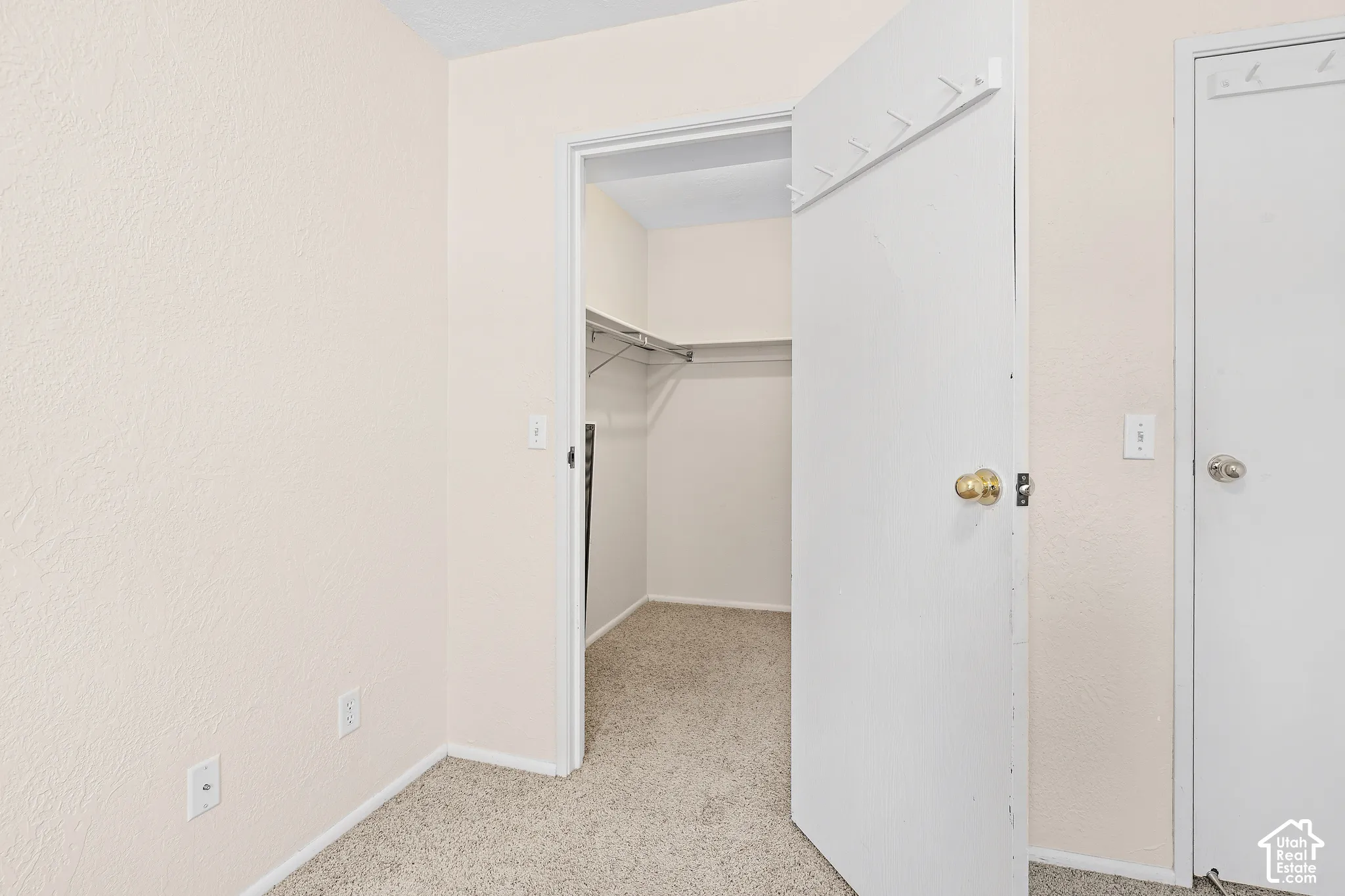 Recessed closet with built-in shelving, textured walls, and carpet flooring