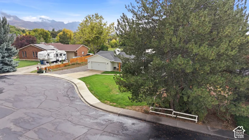 Curved street with concrete sidewalk, mature evergreen trees, and a residence featuring a light-colored exterior and an attached garage
