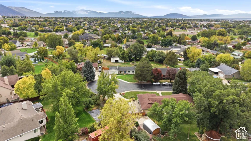 Expansive neighborhood with mature trees and mountain backdrop