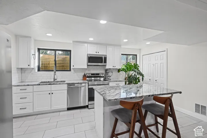 Modern kitchen with white cabinetry and stainless steel appliances