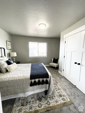 Wall-to-wall carpeting with a neutral color palette