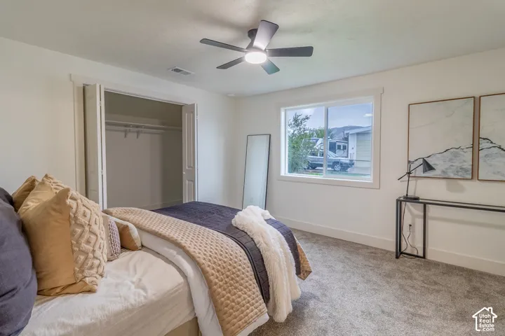 Light gray carpet flooring