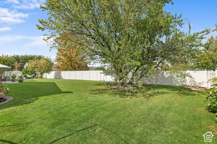 Expansive green lawn, mature tree, and white privacy fencing