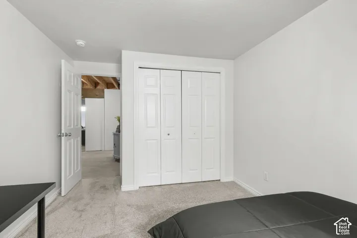 Plush carpet flooring, white painted walls, and bi-fold closet doors