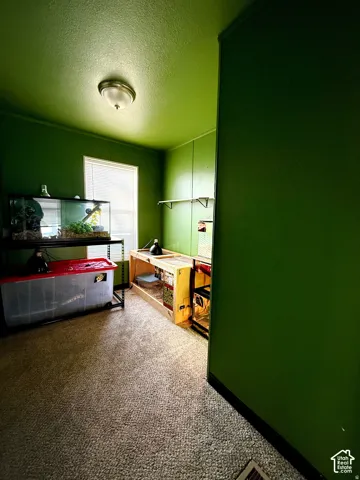 Window with blinds, wall-mounted light fixture, and carpeted flooring