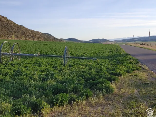 Manti Crystal Spring Farm - Summer 2021 (wheel lines are not available)