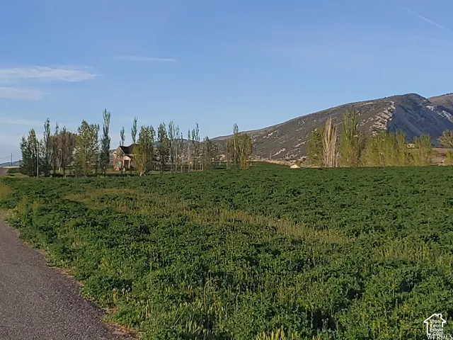 Manti Crystal Spring Farm - Summer 2021