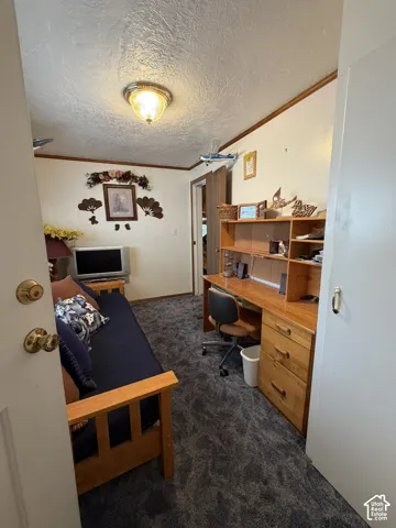 Textured ceiling, wall-mounted light fixture, carpeting, wood-finish desk with hutch, and a wood-finish daybed frame