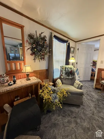 Carpeted flooring with a wood paneled wall and white trim
