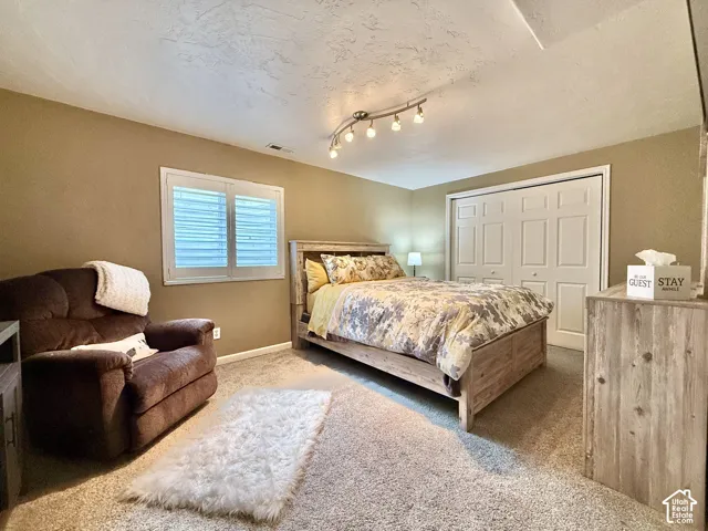 Wall-to-wall carpeting, wood-finish bed frame, track lighting, and bi-fold closet doors