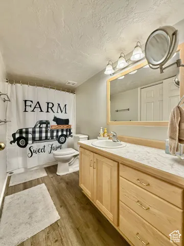 Wood-finish flooring, light wood vanity cabinetry, white countertop with integrated sink, and overhead vanity lighting