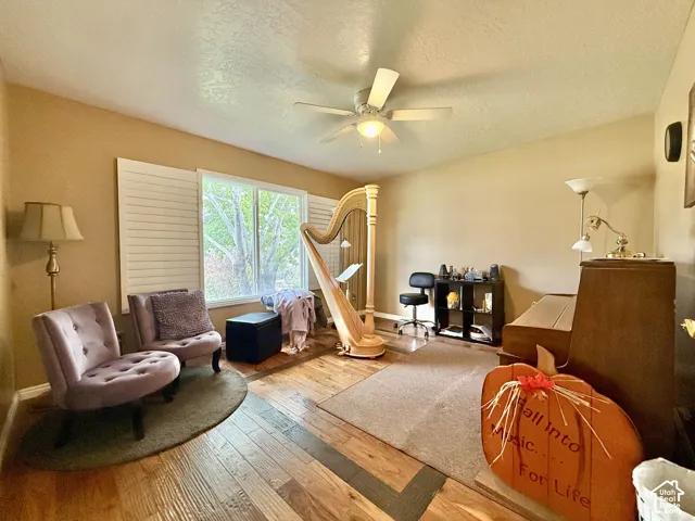 Wood-finish flooring with accent border, plantation shutters, ceiling fan, and window overlooking exterior trees