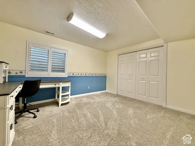 Plush carpet flooring, white bi-fold closet doors, white window shutters, and a prominent overhead light fixture