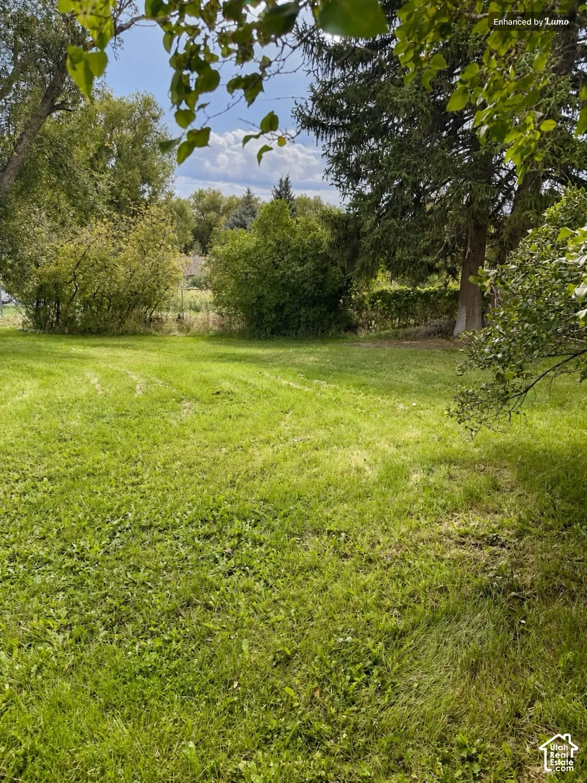 Expansive grassy area surrounded by established trees and lush foliage