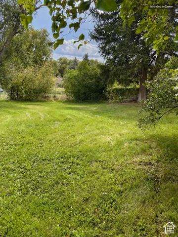 Expansive grassy area surrounded by established trees and lush foliage