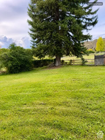 Expansive green lawn with a mature evergreen tree and a wood-post fence