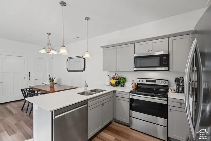 Kitchen featuring light gray cabinetry, stainless steel appliances, white countertops, and wood-finish flooring