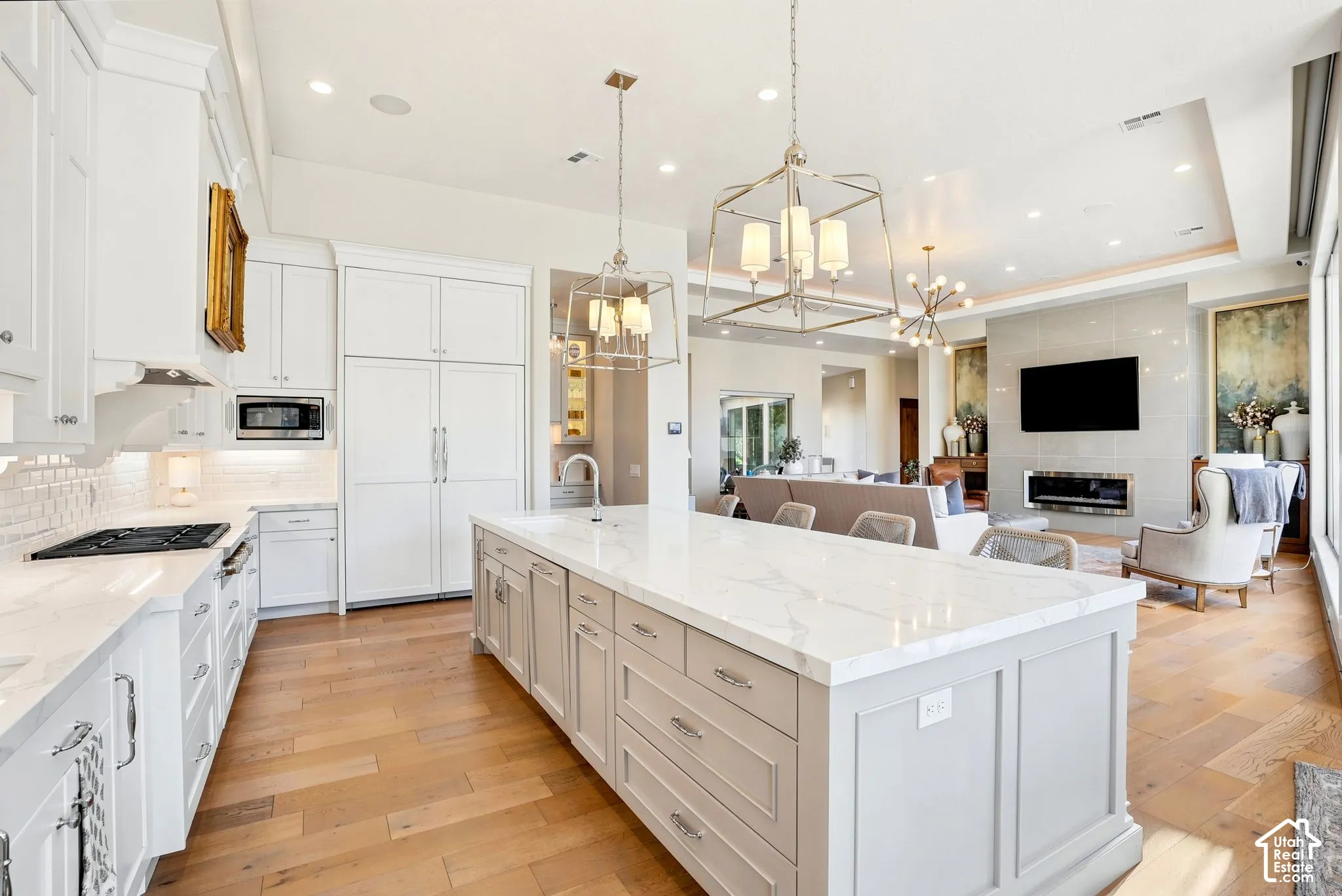 Gourmet kitchen with a large central island, light wood-finish flooring, white cabinetry, and stainless steel appliances