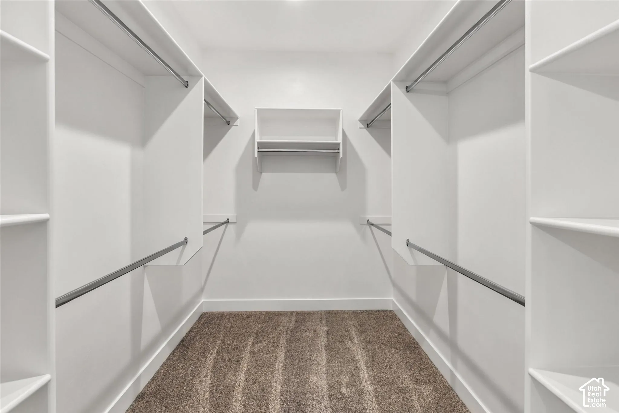 Walk-in closet with built-in shelving, hanging rods, and carpet flooring