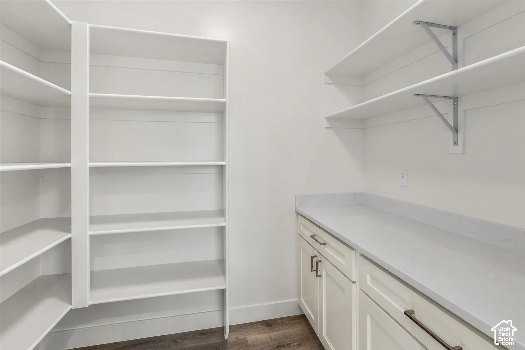 Spacious pantry featuring extensive built-in shelving, white cabinetry, integrated countertops, and wood-finish flooring