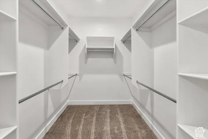 Walk-in closet with built-in shelving, hanging rods, and carpet flooring