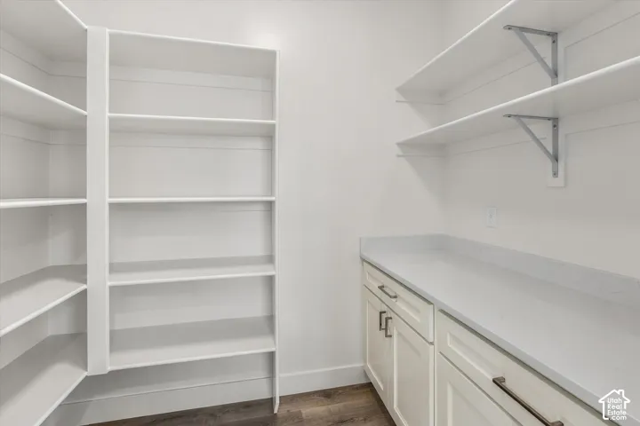 Spacious pantry featuring extensive built-in shelving, white cabinetry, integrated countertops, and wood-finish flooring