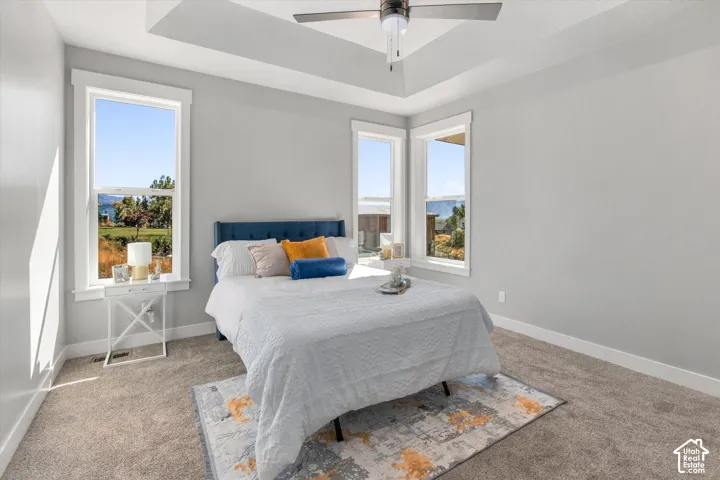 Tray ceiling with an installed ceiling fan, multiple windows with white trim, and neutral-toned carpeting