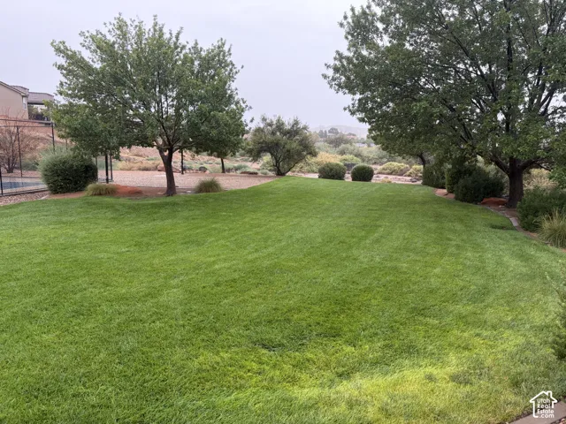 Expansive lawn featuring mature trees and established landscaping