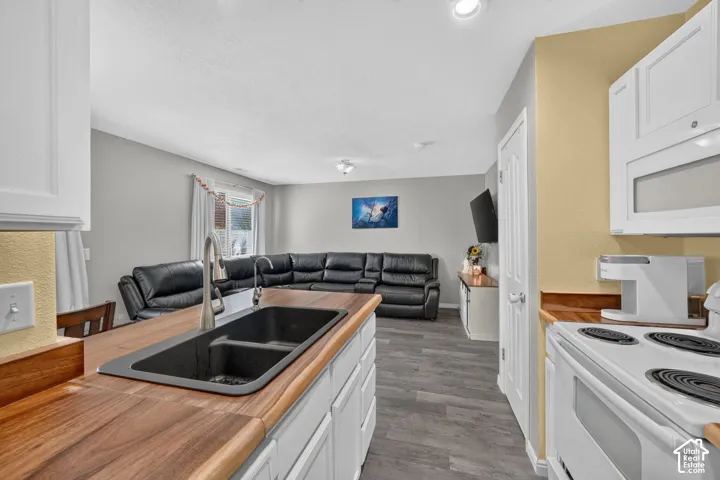 Kitchen featuring a dual basin sink with a gooseneck faucet, wood-finish countertops, and white cabinetry