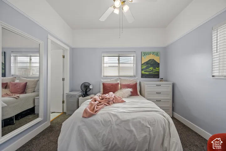 Ceiling fan with light fixture