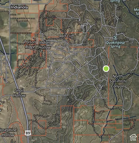 Green dot is the subject property, highway 89 on the left side of image.