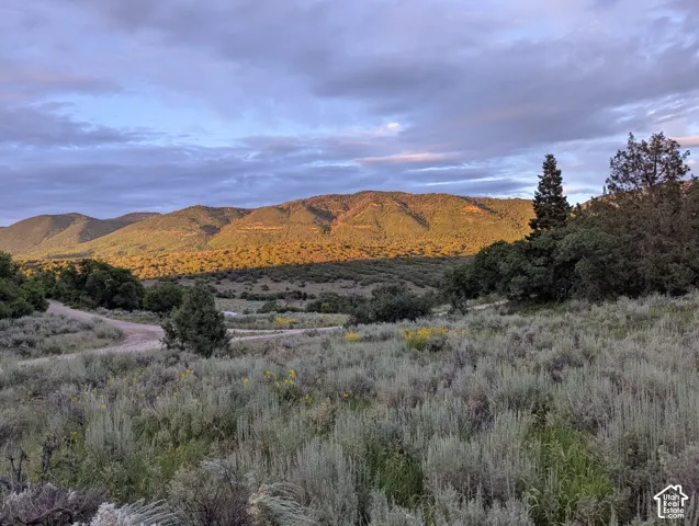 Near the northeast corner of property, looking east toward the Skyline Drive