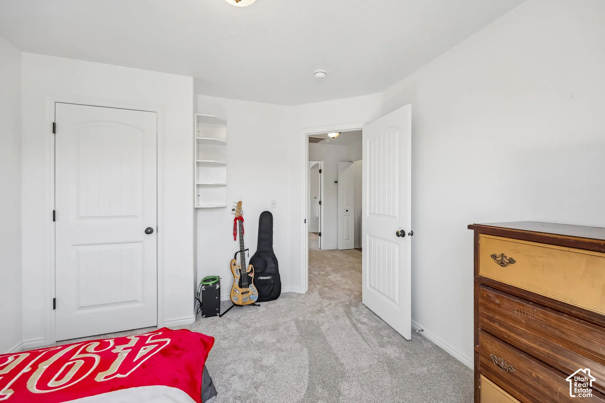 Light gray carpeting, white walls, white doors with black hardware, and built-in shelving
