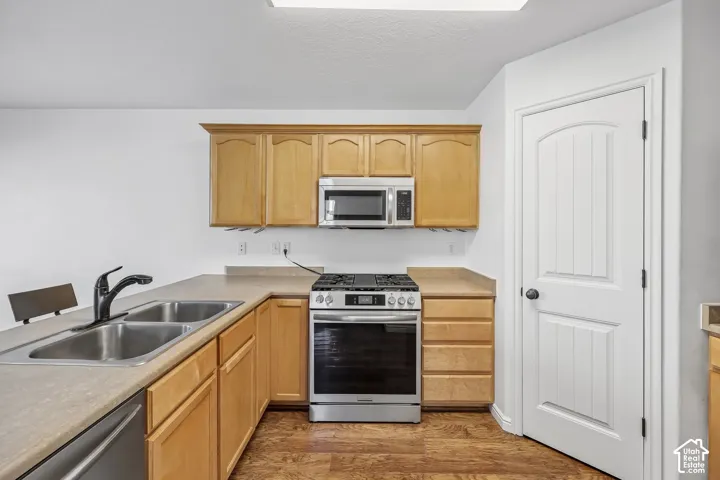 Wood-finish flooring, light wood cabinetry, stainless steel appliances, double basin sink with a matte black faucet, and a paneled interior door