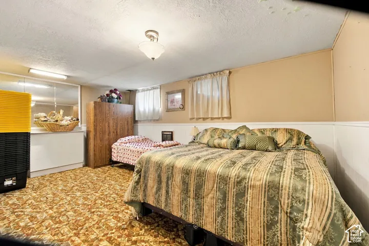 Carpeted flooring, paneled walls, and a built-in mirrored vanity with recessed storage