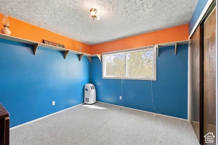 Integrated shelving, a window, carpet flooring, a ceiling-mounted light fixture, and a built-in closet with wood-finish sliding doors
