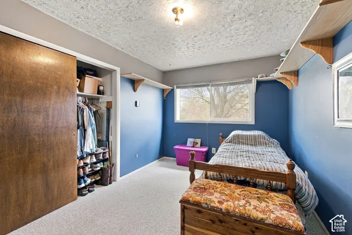 Built-in shelving, natural light from a large window, carpeted flooring, and a wardrobe with a sliding door
